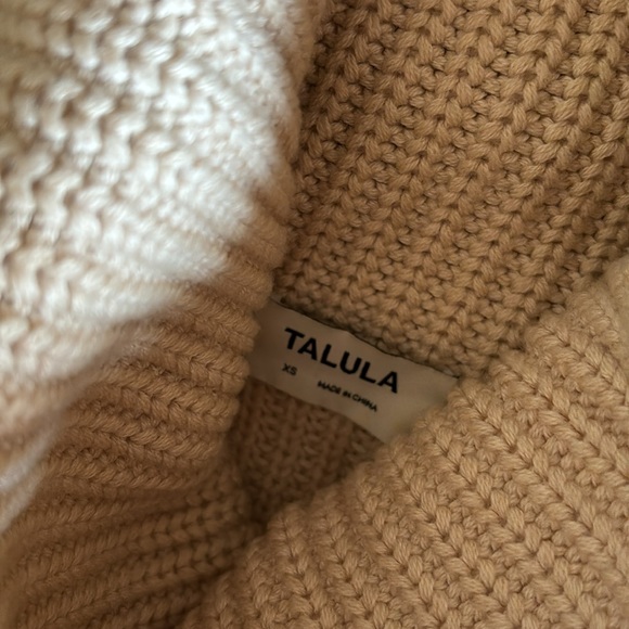 Talula Knit Turtleneck from Aritizia - Picture 2 of 3